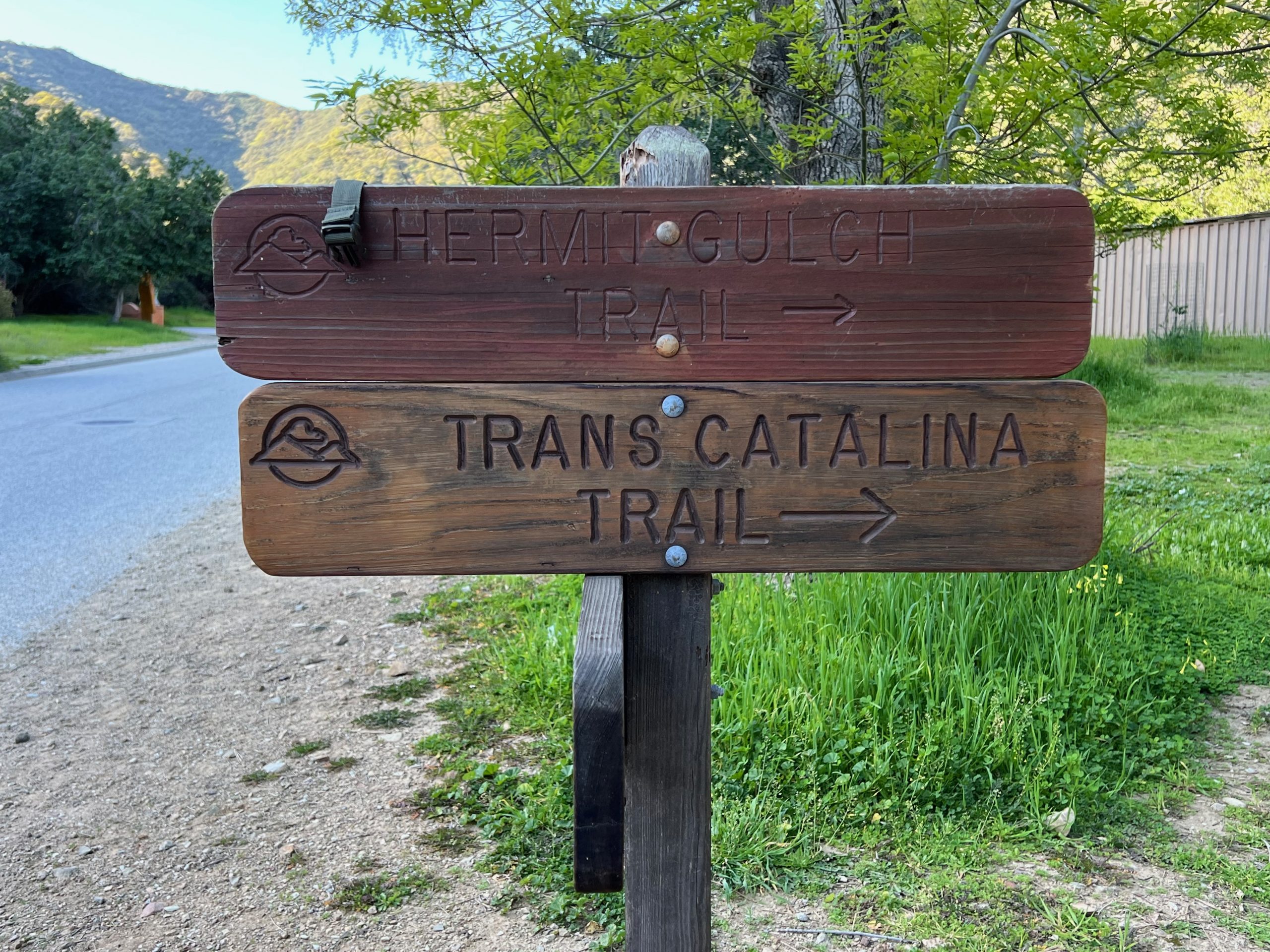 Camping in Avalon on Catalina Island, A Great Option To Explore